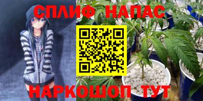стафф Новодвинск