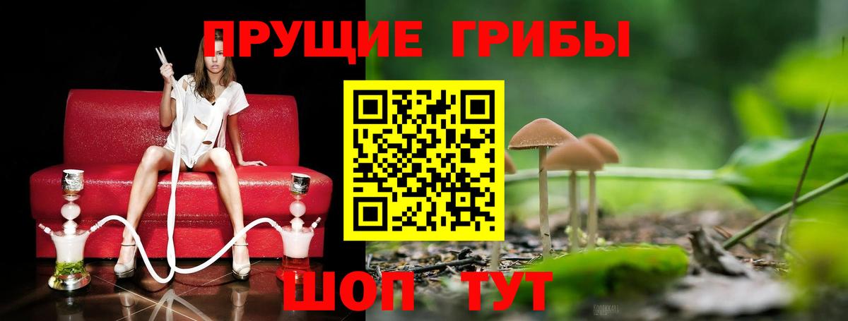 Тавда  Псилоцибиновые грибы MAGIC MUSHROOMS  Вход с VPN  Псилоцибиновые грибы Cubensis 