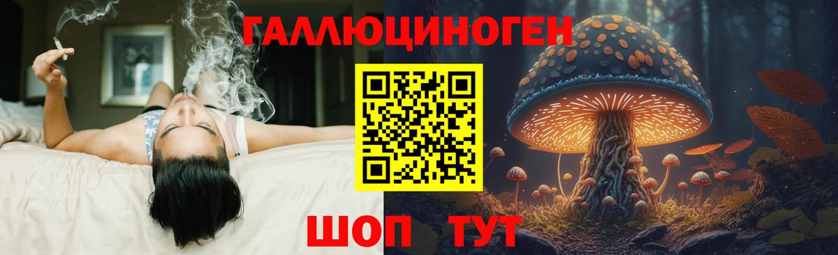 Галлюциногенные грибы GOLDEN TEACHER Тавда